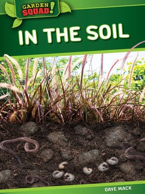 cover image of In the Soil